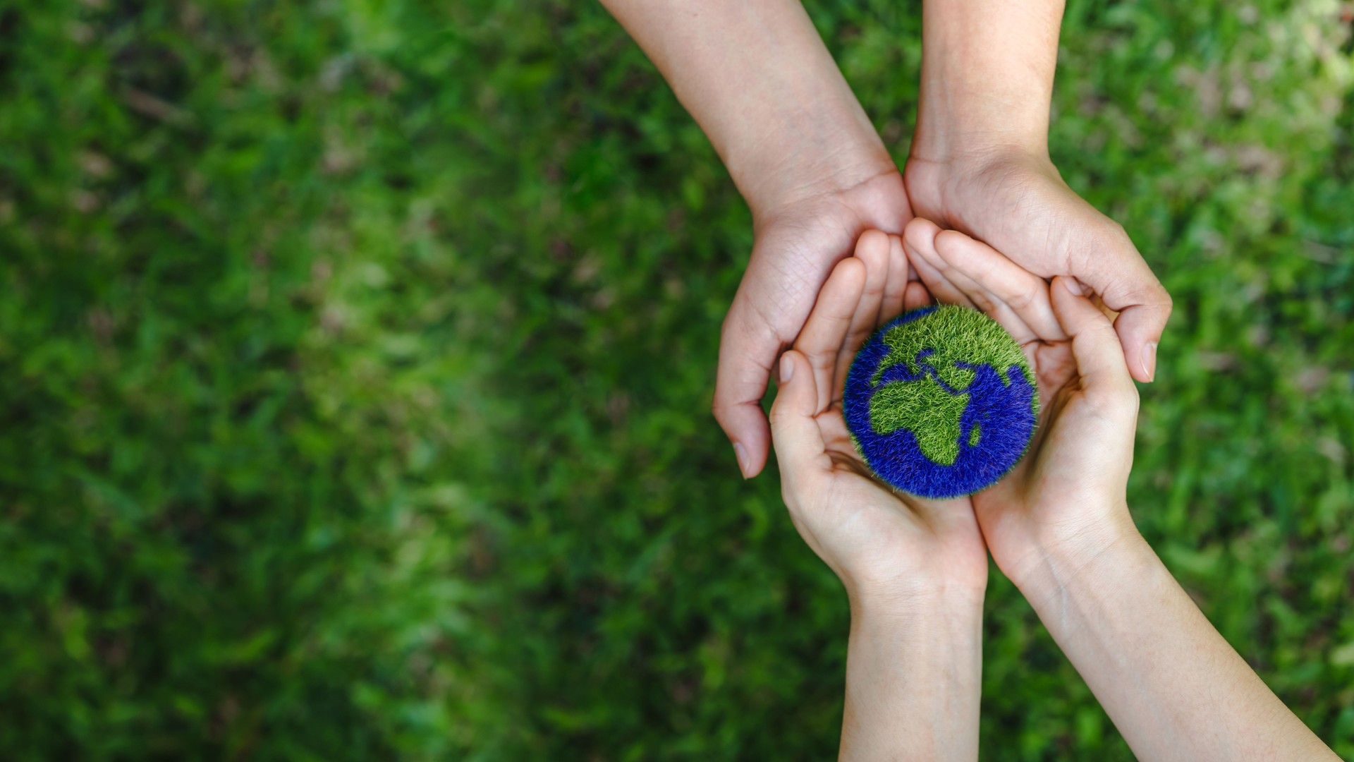Many hands person holding the earth on a green background to protect nature Save and care World for sustainable. concept of the environment ecology and Earth Day